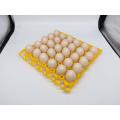 best price plastic egg tray for chicken eggs 30 chicken eggs plastic tray.